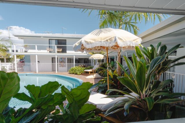 Who can smell Spring?  This time of year, we love to watch the flowers and the plants come alive around the resort.
 
Who else loves to travel this time of year?
 
If yes, check out our lovely little resort located in the heart of Mermaid Beach Gold Coast.
blueheronmotel.com.au

.
.
.
.
.
#springday #goldcoast #goldcoastaccommodation #exploregoldcoast #destinationgoldcoast #visitgoldcoast #goldcoasthotel #thisisqueensland #migoldcoast #seeaustralia #holidayherethisyear #blueheronmotel #blueheronmotelgoldcoast #wearegoldcoast #ourgoldcoast #goldcoasttourism #playgoldcoast #ilovegoldcoast #thisisgoldcoast #goldcoastgetaway #ilovegoldcoast #travelaustralia #discoverqueensland #goldcoastbeach #goldcoastholiday #travelgoldcoast #goldcoastadventures