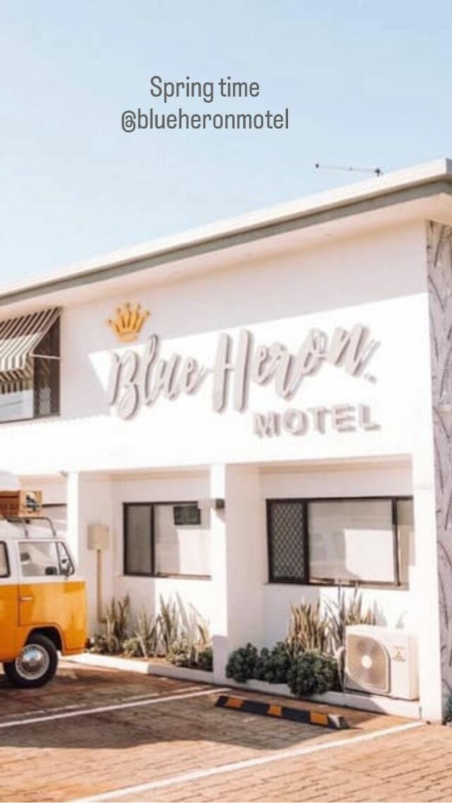Holiday mode will kick in the moment you are greeted at front reception. 
Followed by:
- relaxing in your room
- a dip in the pool
- chilling in our outdoor areas
- strolling along the beach 
- exploring cafes and restaurants
- Repeat each day there after

If this sounds like your kind a holiday mode, then I suggest you hit us up from some dates to come and stay. 

To book your dates visit blueheronmotel.com.au or click link in bio @blueheronmotel 
.
.

.
.
.

#blueheronmotel #goldcoast #broadbeach #goldcoastmotel #destinationgoldcoast #boutiquemotel #wearegoldcoast #goldcoastlife #mermaidbeach #goldcoastaccommodation #visitgoldcoast #visitqueensland #exploregoldcoast #goldcoasthotel #thisisqueensland #migoldcoast #seeaustralia #holidayherethisyear #burleighheads #exploregoldcoast #ourgoldcoast #hellogoldcoast #thisisgoldcoast #goldcoastgetaway #ilovegoldcoast #travelaustralia #discoverqueensland #goldcoastbeach #goldcoastholiday #travelgoldcoast